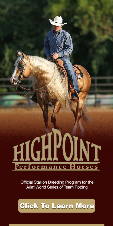 Highpoint Performance Horses: Official stallion breeding program for the Ariat WSTR. Click to learn more.