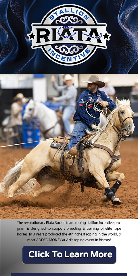 The revolutionary Riata Buckle team roping stallion incentive program is designed to support breeding & traning of elite rope horses. Click to learn more.